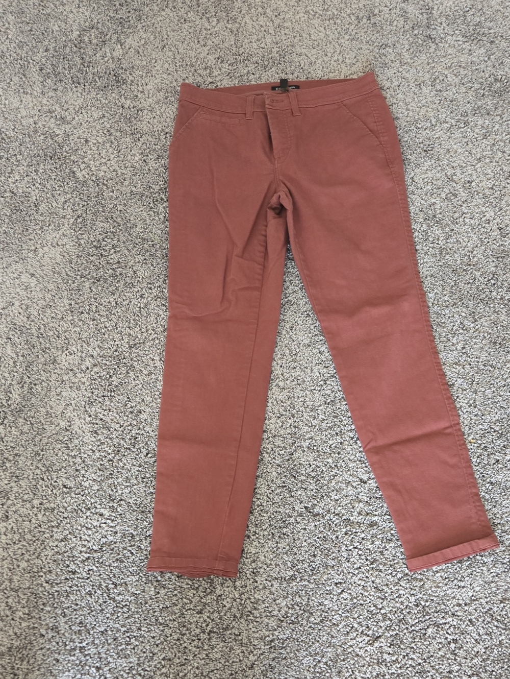 41 Hawthorn Rust-Colored Slim Pants